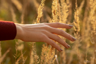 Similar image 21396922