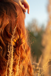 Similar image 21395440