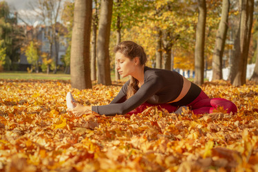 Similar image 21397669