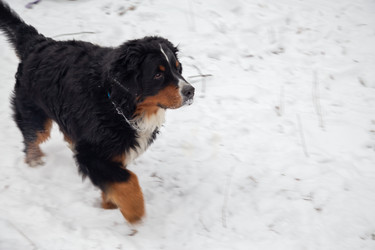 Similar image 21397350