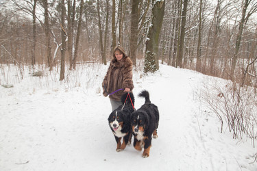 Similar image 21397720