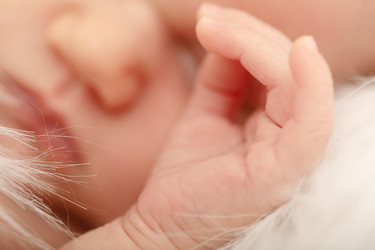 Similar image 21397765