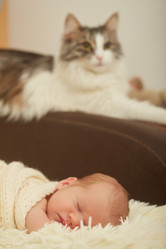 Similar image 21397771