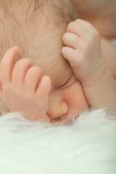 Similar image 21397787