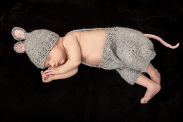 Similar image 21397789