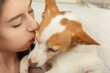 Similar image 21397094