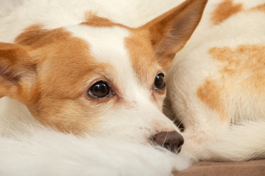 Similar image 21397097