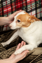 Similar image 21397127