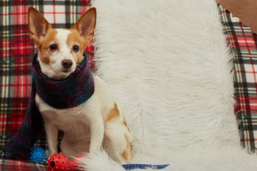 Similar image 21397136