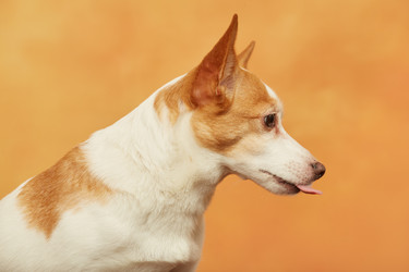 Similar image 21397443