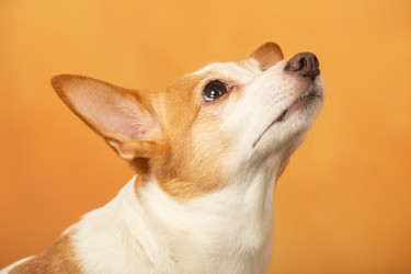 Similar image 21397447