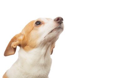 Similar image 21397448