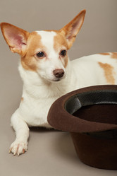 Similar image 21397451