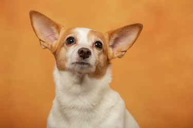 Similar image 21397452