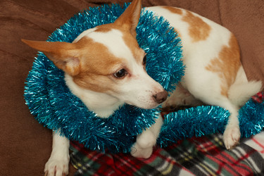 Similar image 21397453