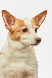 Similar image 21397454