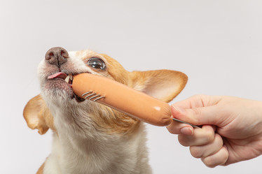 Similar image 21397455