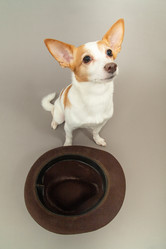 Similar image 21397456