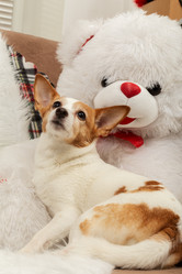 Similar image 21397457