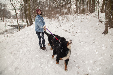 Similar image 21397557