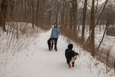 Similar image 21397559