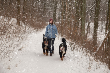 Similar image 21397563