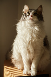 Similar image 21397564