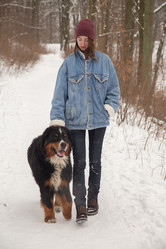 Similar image 21398152