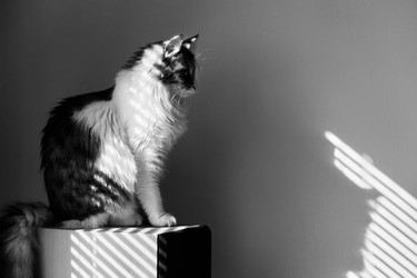 Similar image 21397573