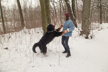 Similar image 21397852