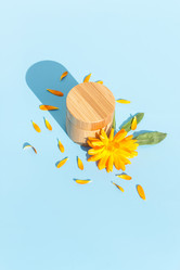 Similar image 21419068