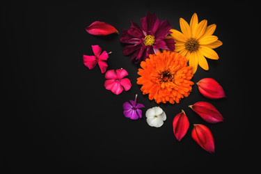 Similar image 21419093