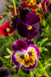 Similar image 21419125