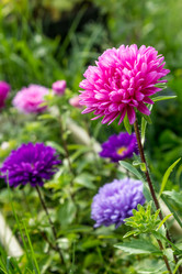 Similar image 21419136