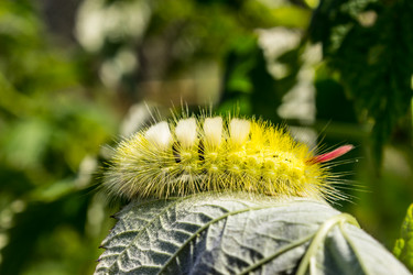 Similar image 21419144