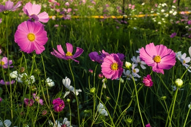 Similar image 21419151