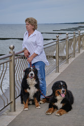 Similar image 21398051