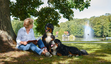 Similar image 21397180