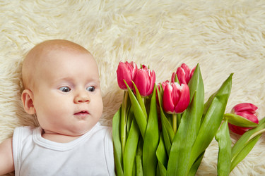 Similar image 21398234