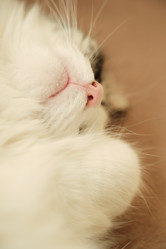 Similar image 21398253