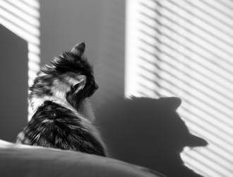 Similar image 21398289