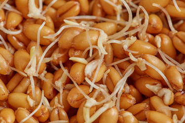 Similar image 21398363