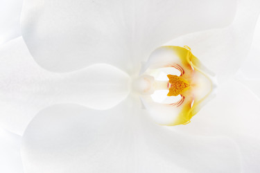 Similar image 21398082