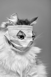 Similar image 21398120