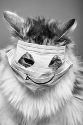 Similar image 21398366