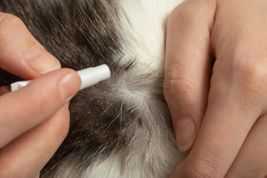 Similar image 21398400