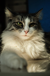 Similar image 21398089