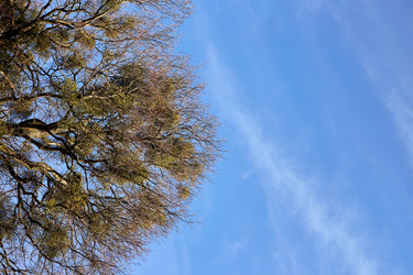 Similar image 21398092