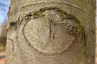 Similar image 21398097