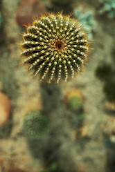 Similar image 21398099